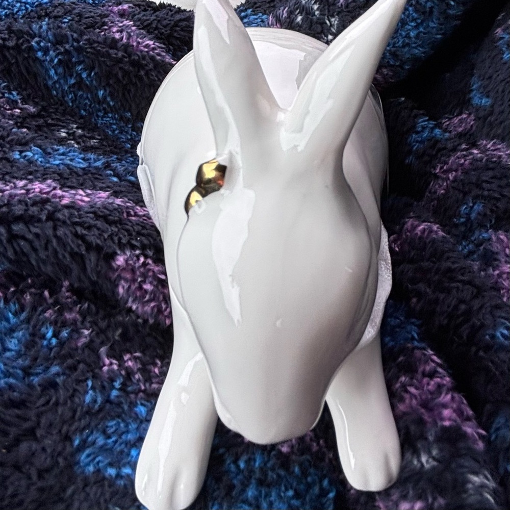 Bunny Butter dish.   Rabbit butter dish.  New - Picture 5 of 9